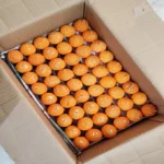 Laddu Candle(Set Of 1)